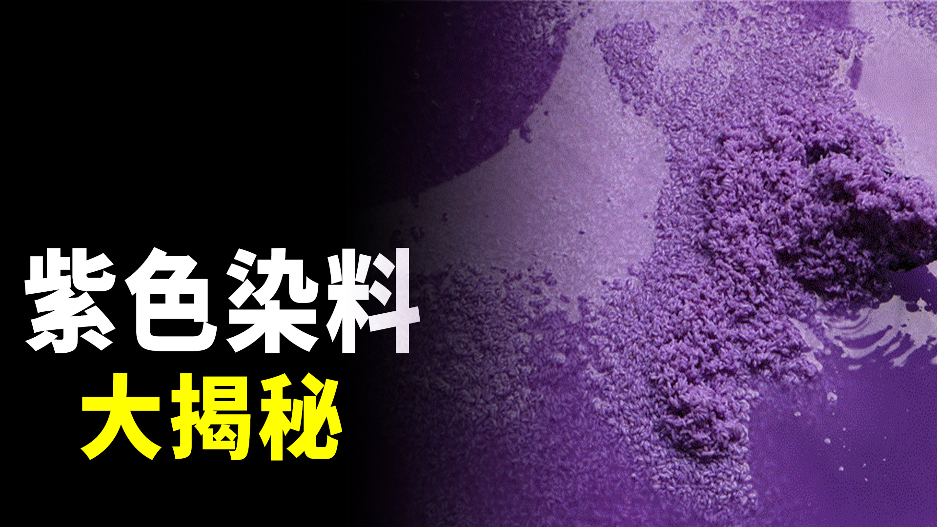 紫色染料大揭秘,真不是一般人用得起